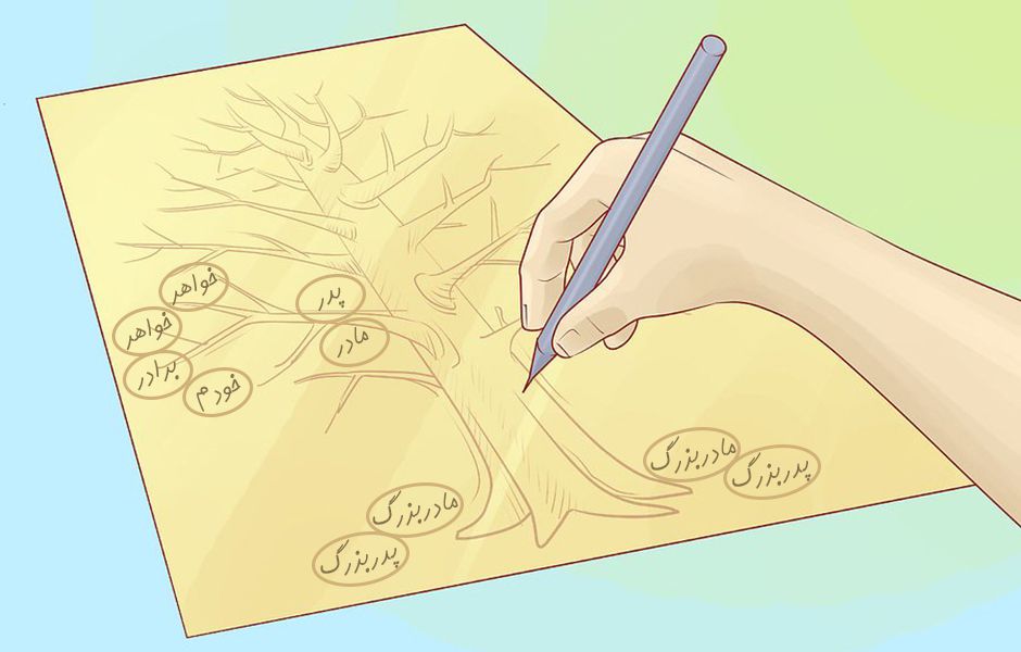 how to draw a family tree 46547657 - چگونه درخت شجره نامه خانوادگی بکشیم؟