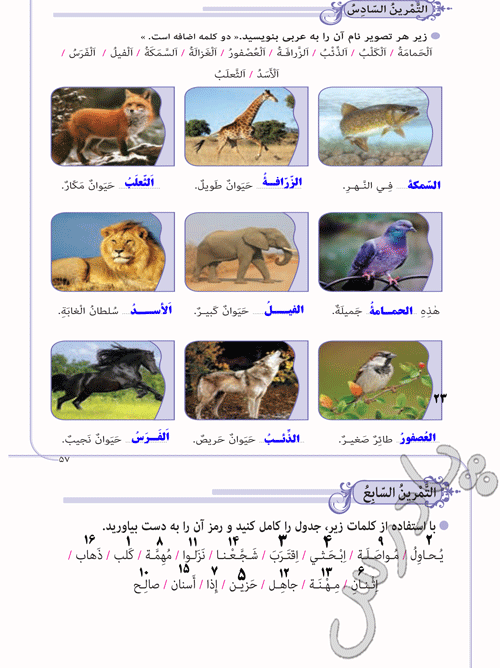 پاسخ تمرین 6 و7 درس 5 عربی نهم