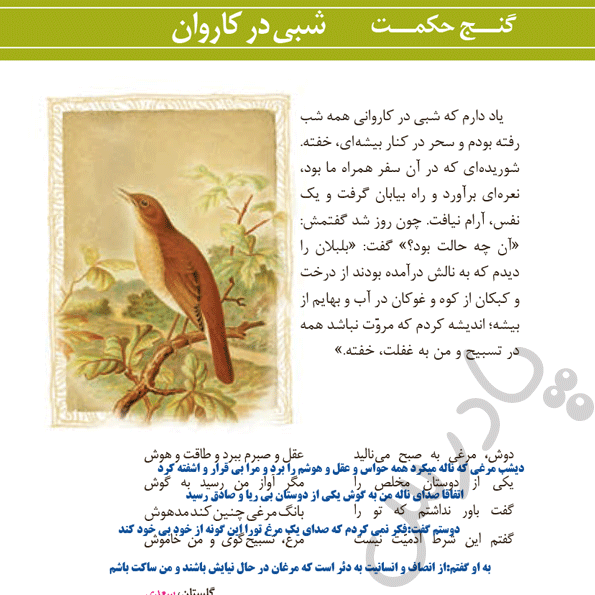 معنی گنج حکمت درس 8 فارسی دهم